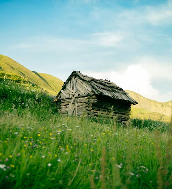 #old-cabin